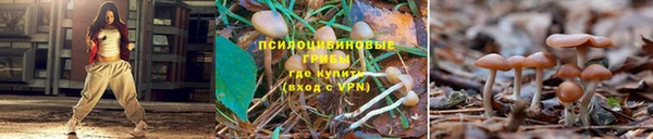 бошки Богданович