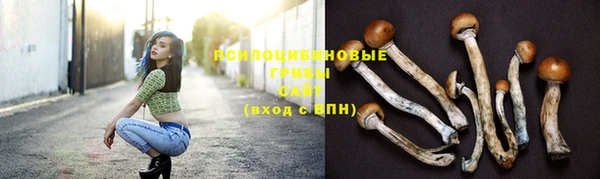 бошки Богданович