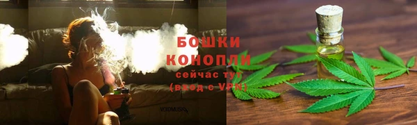 бошки Богданович