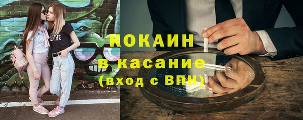 дживик Бородино