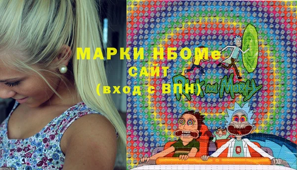 дживик Бородино