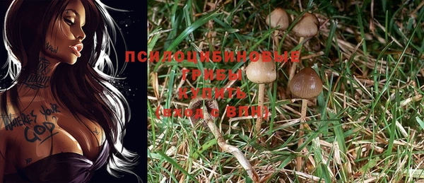 дживик Бородино