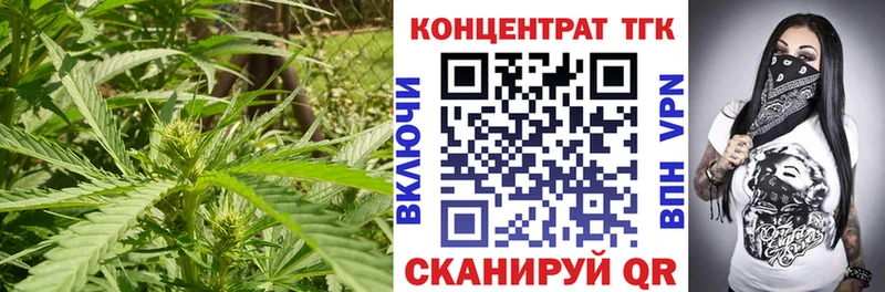 ТГК концентрат где найти Биробиджан